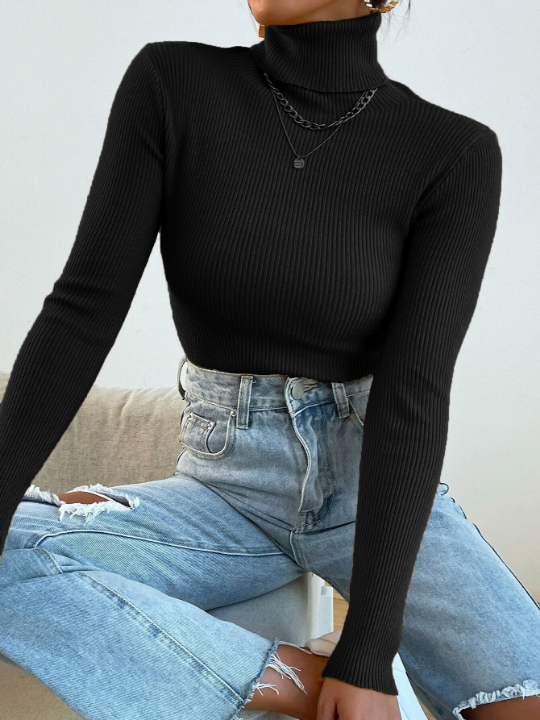 Mulvari Turtleneck Ribbed Knit Sweater Without Necklace