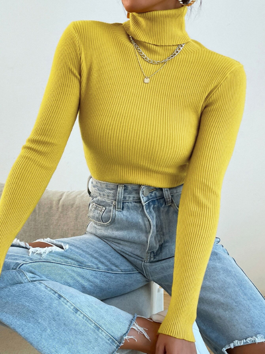 Mulvari Turtleneck Ribbed Knit Sweater Without Necklace