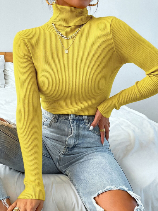 Mulvari Turtleneck Ribbed Knit Sweater Without Necklace