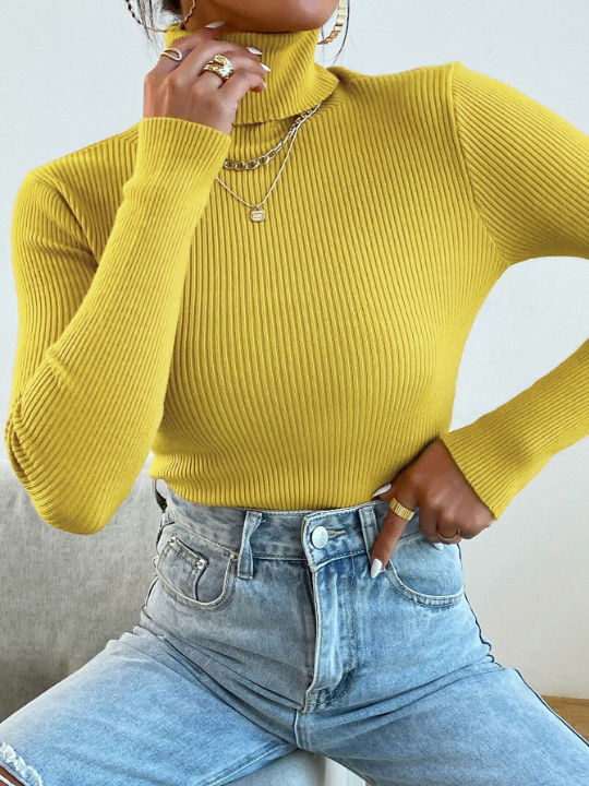 Mulvari Turtleneck Ribbed Knit Sweater Without Necklace