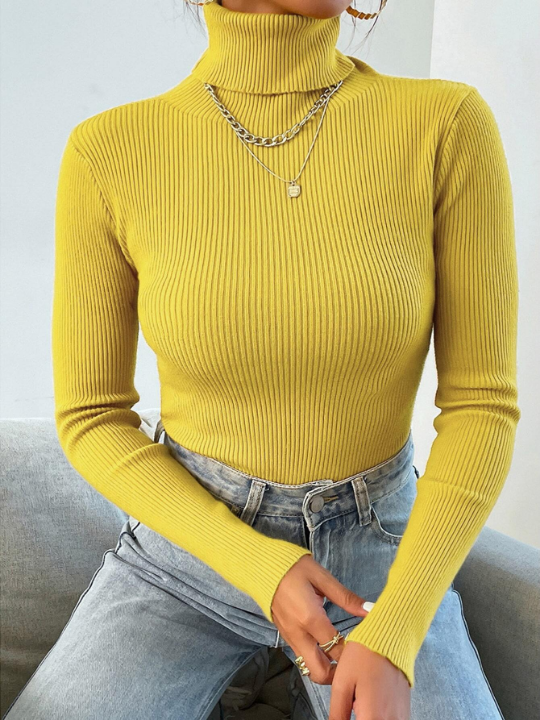 Mulvari Turtleneck Ribbed Knit Sweater Without Necklace