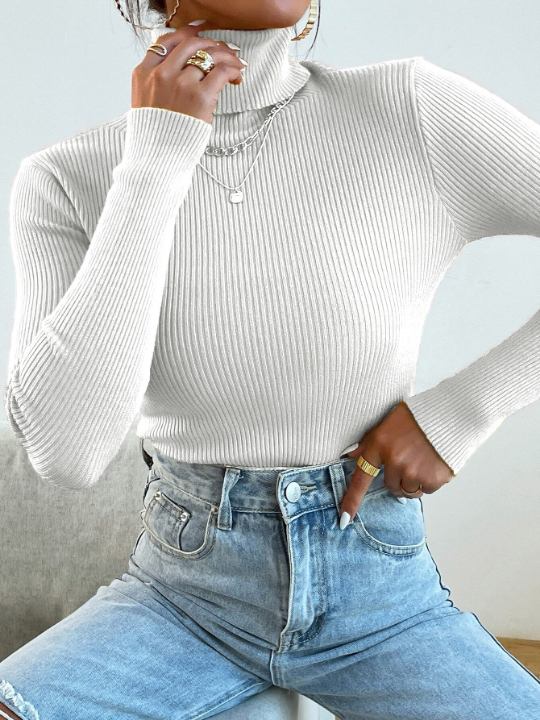 Mulvari Turtleneck Ribbed Knit Sweater Without Necklace