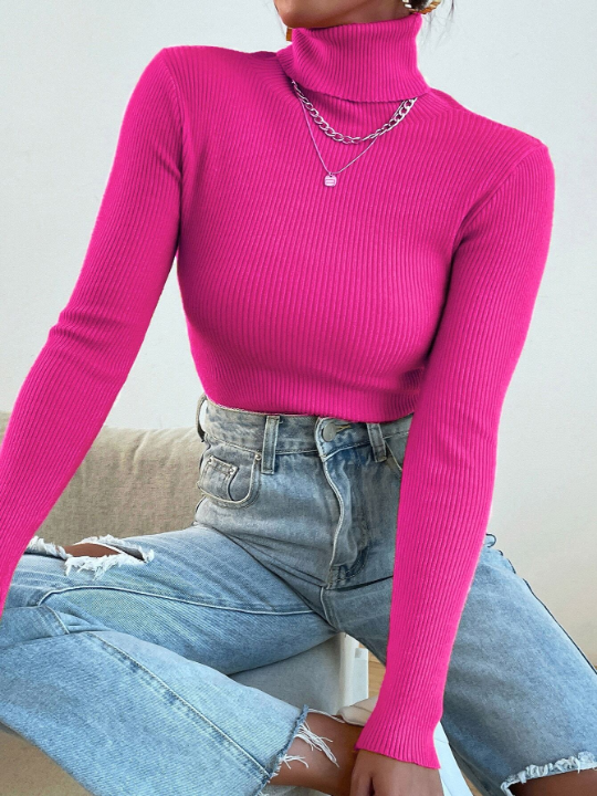 Mulvari Turtleneck Ribbed Knit Sweater Without Necklace