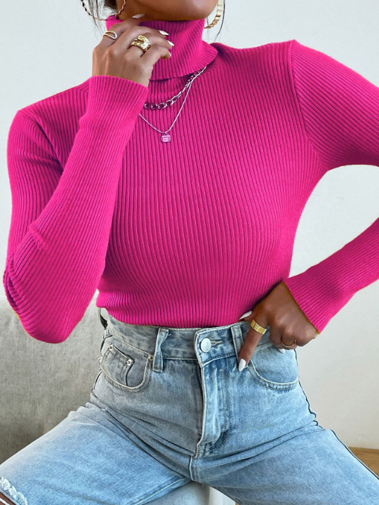 Mulvari Turtleneck Ribbed Knit Sweater Without Necklace