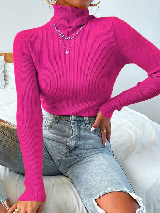 Mulvari Turtleneck Ribbed Knit Sweater Without Necklace