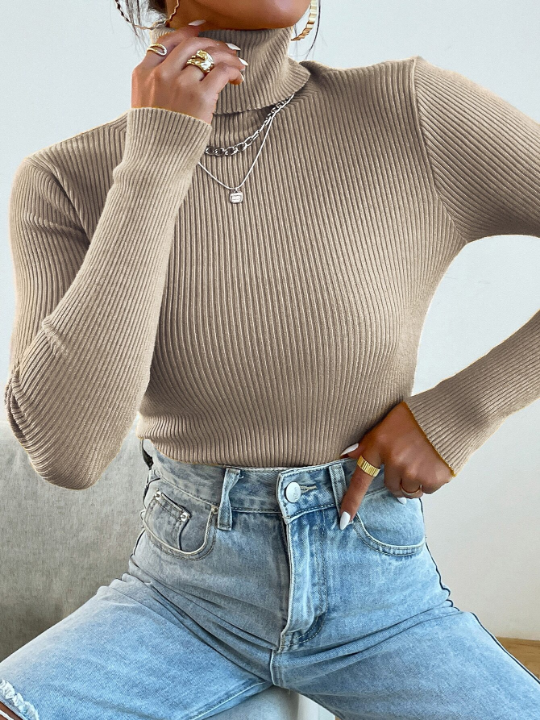 Mulvari Turtleneck Ribbed Knit Sweater Without Necklace