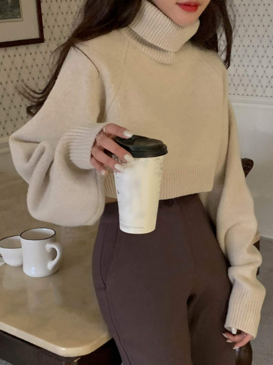 DAZY Turtle Neck Raglan Sleeve Crop Sweater