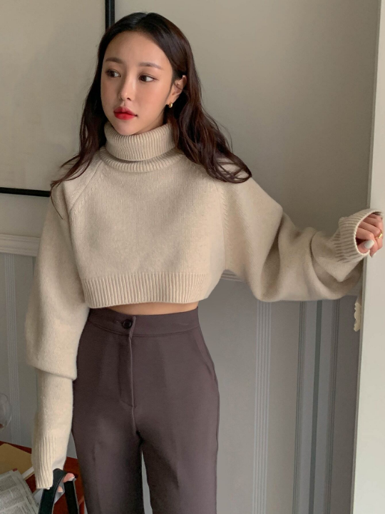 DAZY Turtle Neck Raglan Sleeve Crop Sweater