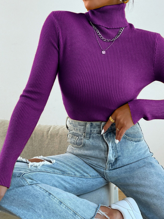 Mulvari Turtleneck Ribbed Knit Sweater Without Necklace