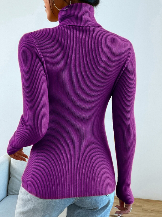 Mulvari Turtleneck Ribbed Knit Sweater Without Necklace