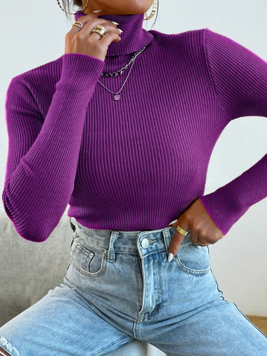 Mulvari Turtleneck Ribbed Knit Sweater Without Necklace