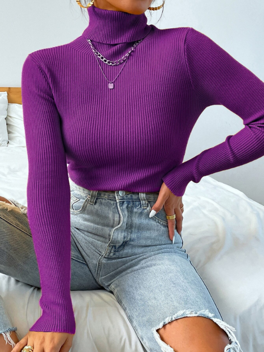 Mulvari Turtleneck Ribbed Knit Sweater Without Necklace