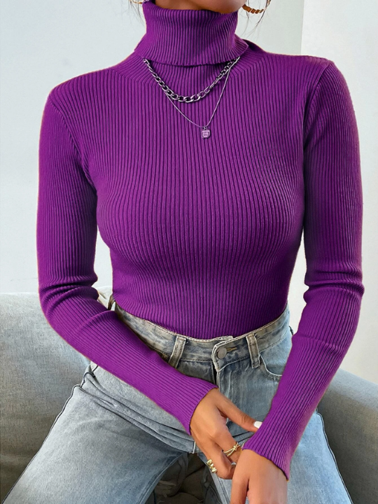 Mulvari Turtleneck Ribbed Knit Sweater Without Necklace