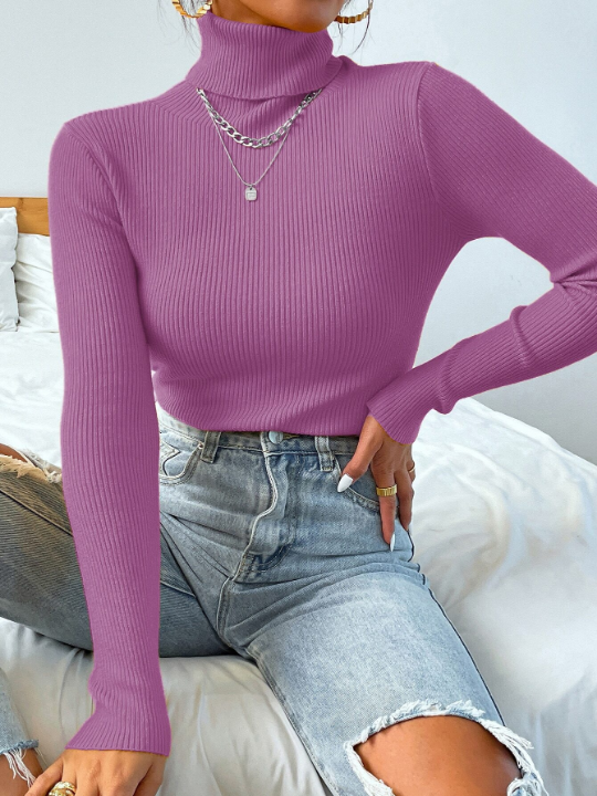 Mulvari Turtleneck Ribbed Knit Sweater Without Necklace