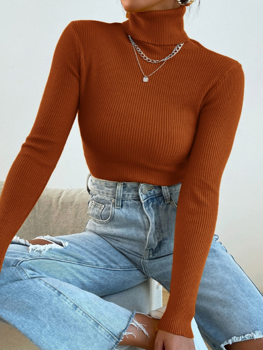 Mulvari Turtleneck Ribbed Knit Sweater Without Necklace