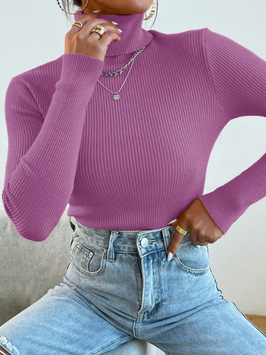 Mulvari Turtleneck Ribbed Knit Sweater Without Necklace