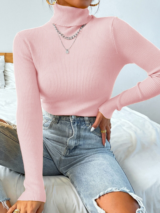 Mulvari Turtleneck Ribbed Knit Sweater Without Necklace