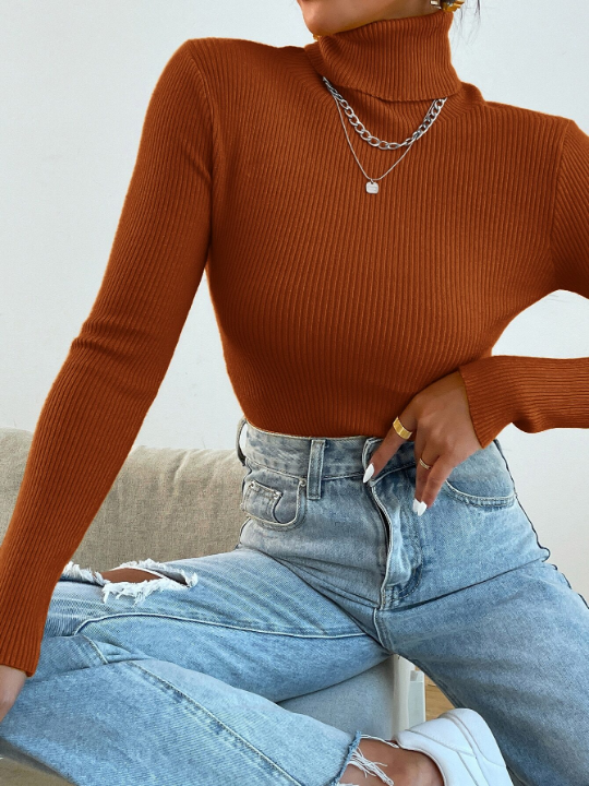 Mulvari Turtleneck Ribbed Knit Sweater Without Necklace