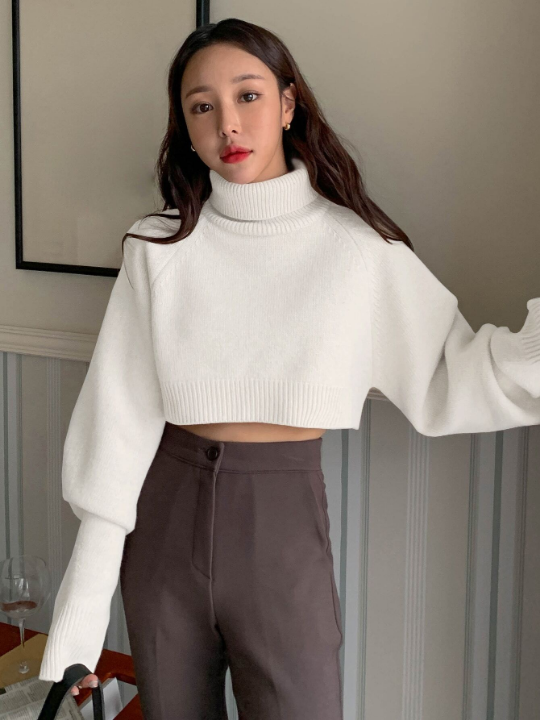 DAZY Turtle Neck Raglan Sleeve Crop Sweater