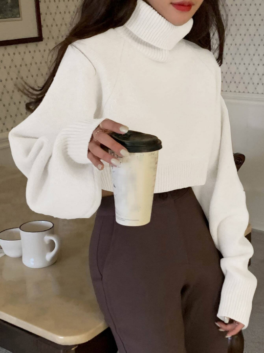 DAZY Turtle Neck Raglan Sleeve Crop Sweater