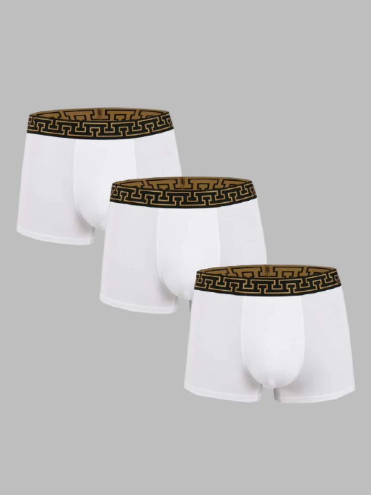 Men 3pcs Tape Waistband Boxer Brief