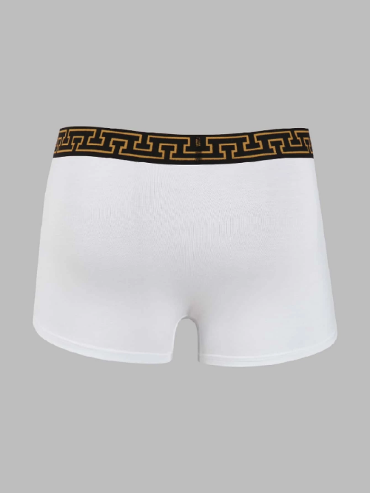 Men 3pcs Tape Waistband Boxer Brief