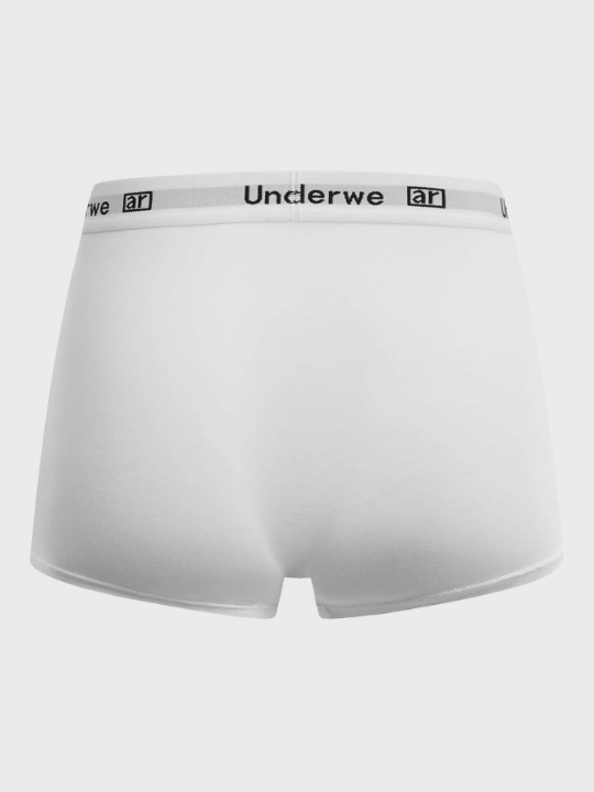 Men 5pcs Letter Graphic Boxer Brief