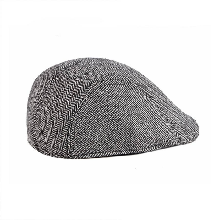 Men Herringbone Pattern Casual Flat Cap For Daily Life