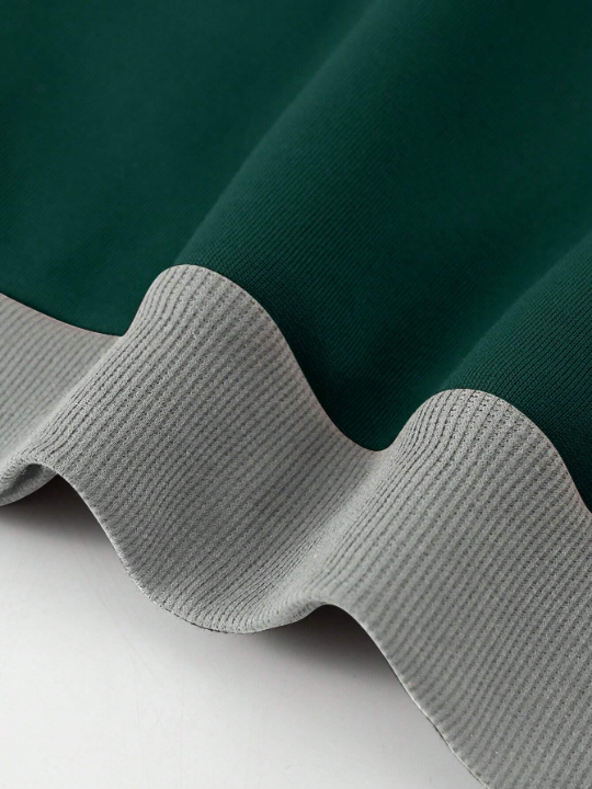 Men Colorblock Raglan Sleeve Drawstring Thermal Lined Hoodie