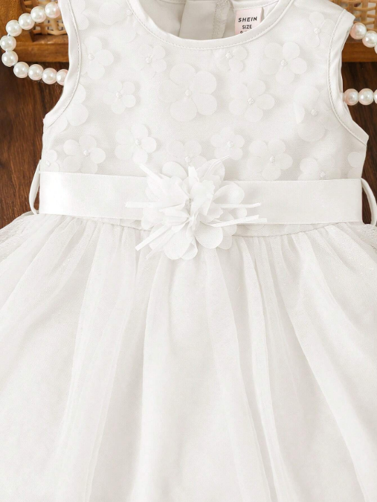 Baby Girl Appliques Detail Mesh Overlay Belted Dress