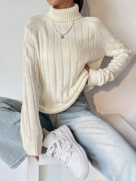 Turtleneck Raglan Sleeve Sweater