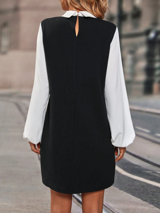 Two Tone Lantern Sleeve 2 In 1 Shirt Dress