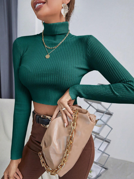 Essnce Turtleneck Ribbed Knit Crop Sweater