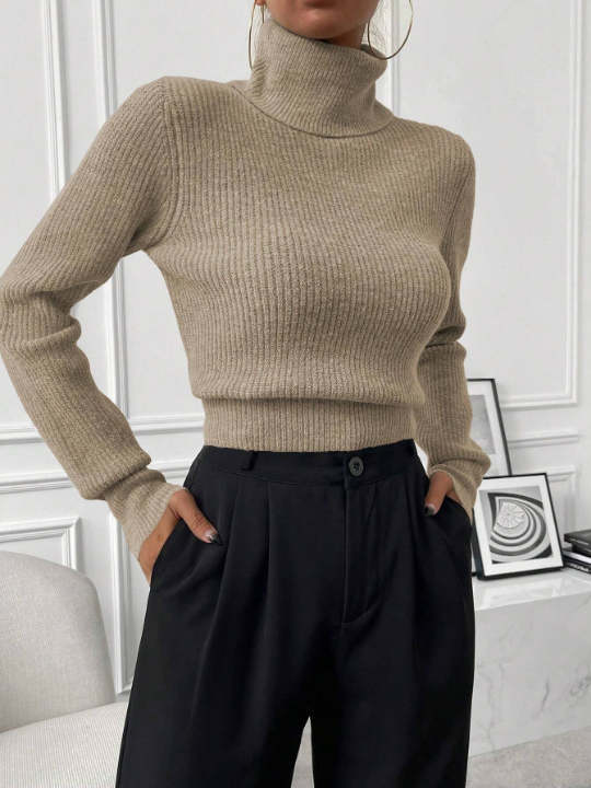 Priv Turtleneck Ribbed Knit Sweater