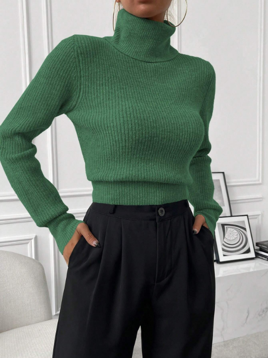 Priv Turtleneck Ribbed Knit Sweater