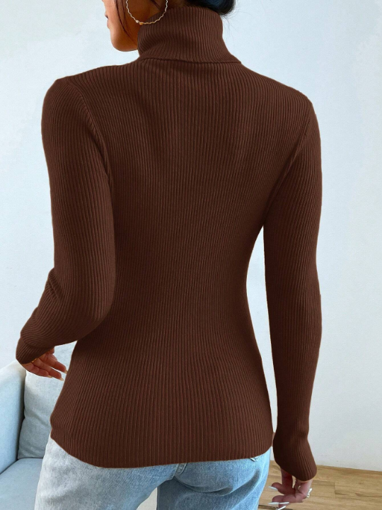 Mulvari Solid Color Turtleneck Sweater