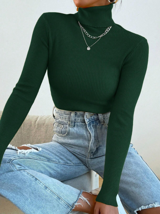 Mulvari Solid Color Turtleneck Sweater