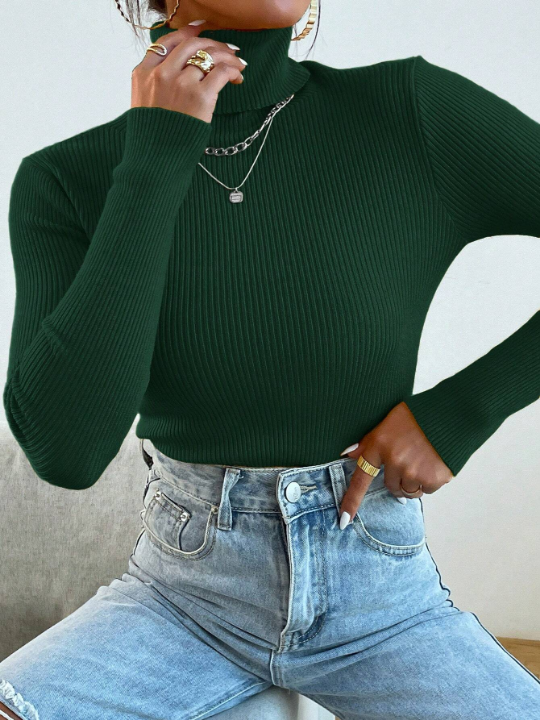 Mulvari Solid Color Turtleneck Sweater