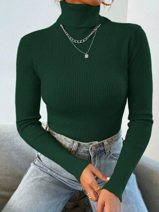 Mulvari Solid Color Turtleneck Sweater