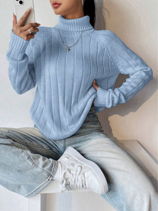 Turtle Neck Wide Ribbed Sweater