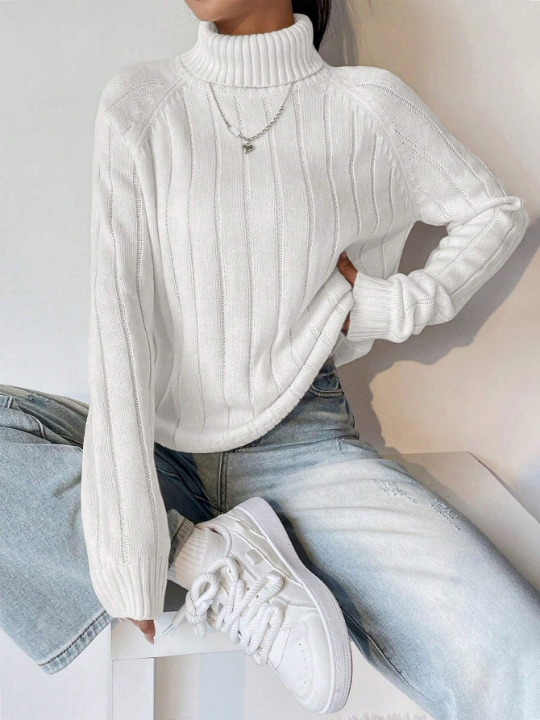 Wide Ribbed Turtleneck Sweater