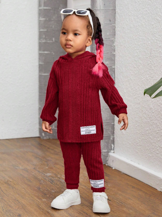 Baby Girls' Casual Ribbed Knit Applique Detail Hoodie And Pants Set