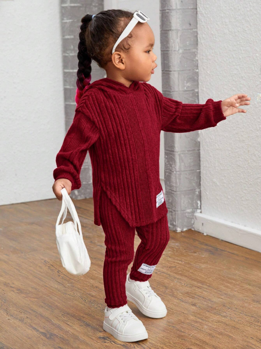 Baby Girls' Casual Ribbed Knit Applique Detail Hoodie And Pants Set