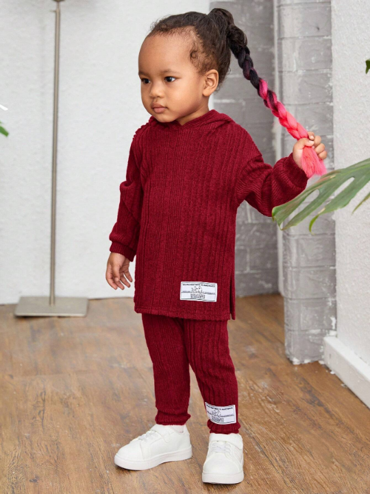 Baby Girls' Casual Ribbed Knit Applique Detail Hoodie And Pants Set