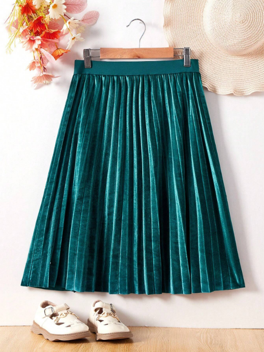 Teen Girls' Velvet Pleated Skirt, Fall/Winter