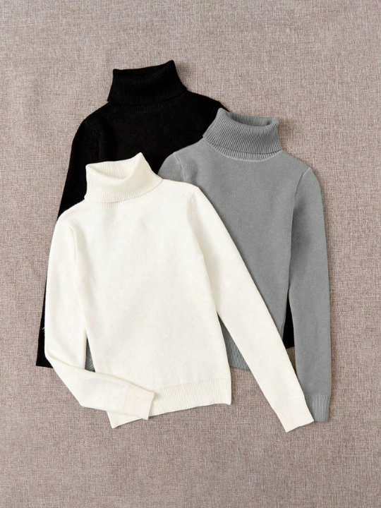 Essnce 3pcs Solid High Neck Long Sleeve Basic Brushed Fleece Lined Sweater