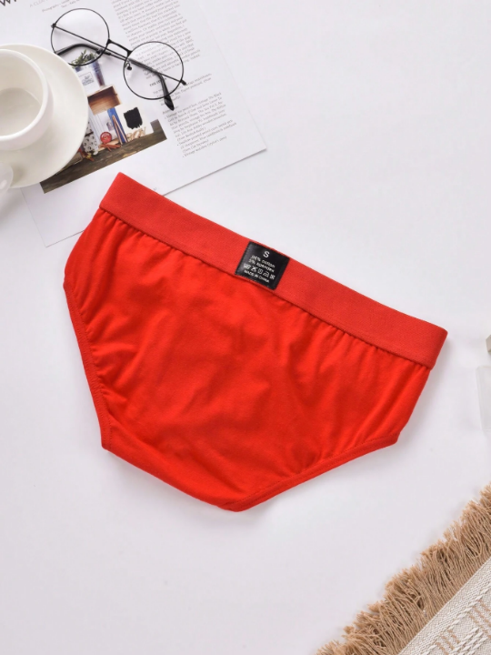Men's Triangle Briefs With Letter Print Waistband