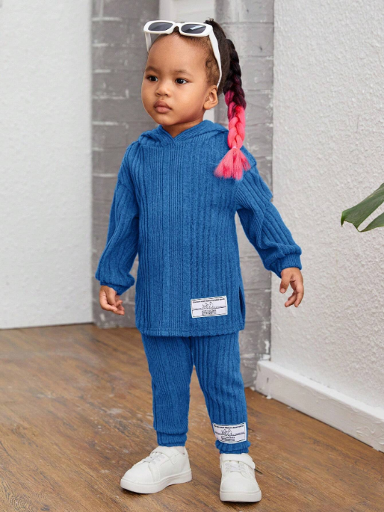 Baby Girl Casual Knit Hoodie Top And Pants Set