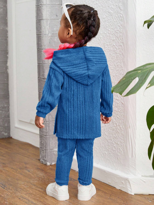 Baby Girl Casual Knit Hoodie Top And Pants Set