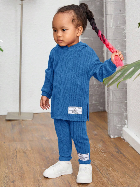 Baby Girl Casual Knit Hoodie Top And Pants Set